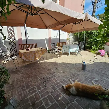 Bed & Breakfast Flavia Constanţa