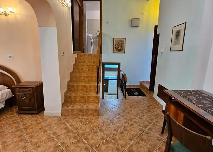 Flavia B&B Constanţa