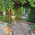Flavia Bed & Breakfast 4*