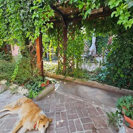 Flavia Bed and Breakfast 4*