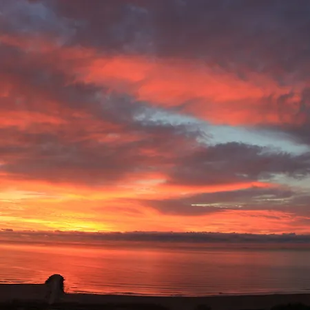 Flavia Panzió Konstanca